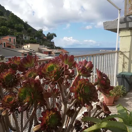 Riorooms La Punta House By The Sea Apartment Riomaggiore